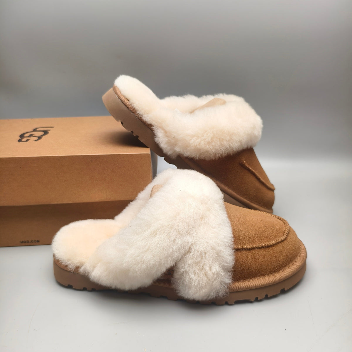 Chestnut Casual Home Slippers — New Arrival | In Stock