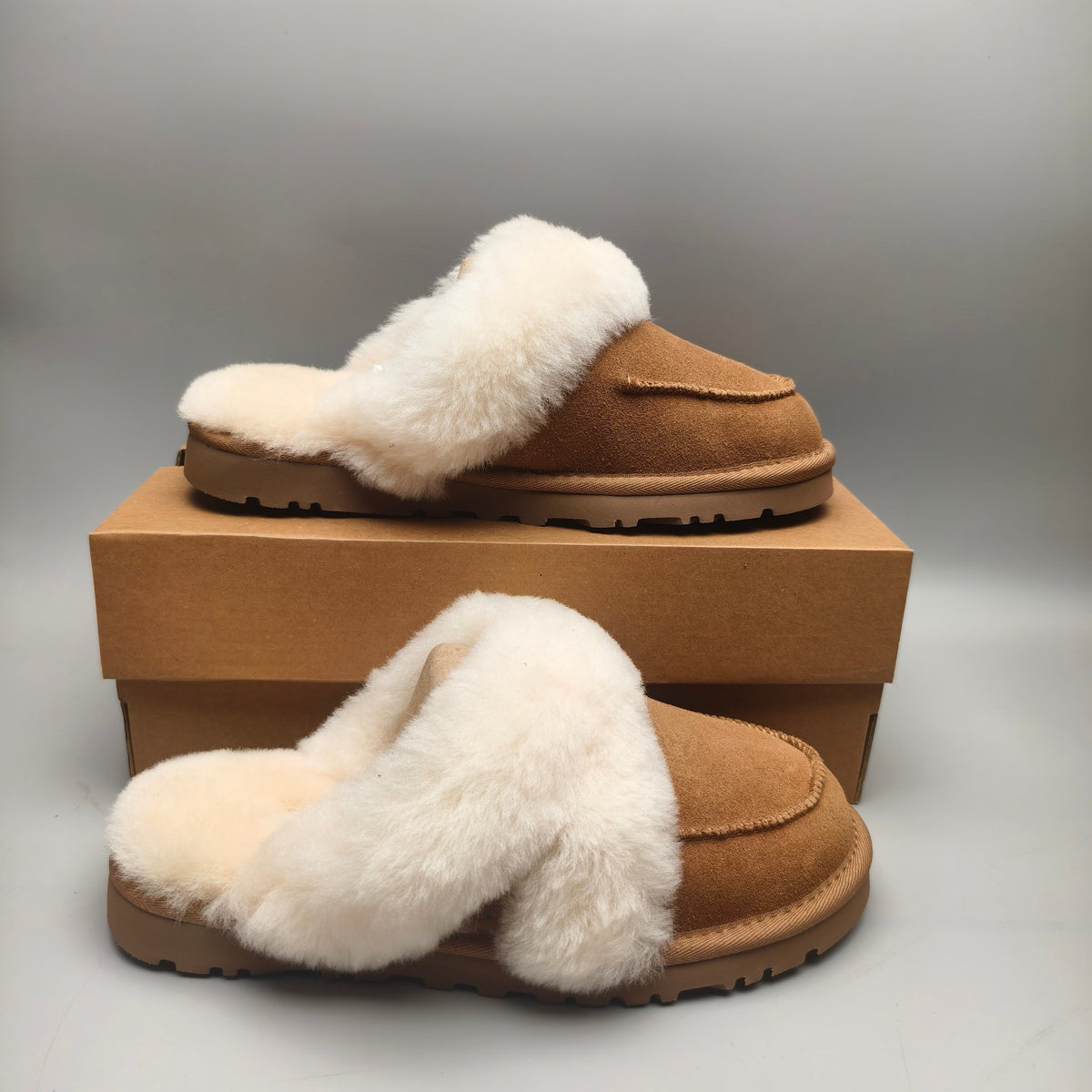 Chestnut Casual Home Slippers — New Arrival | In Stock
